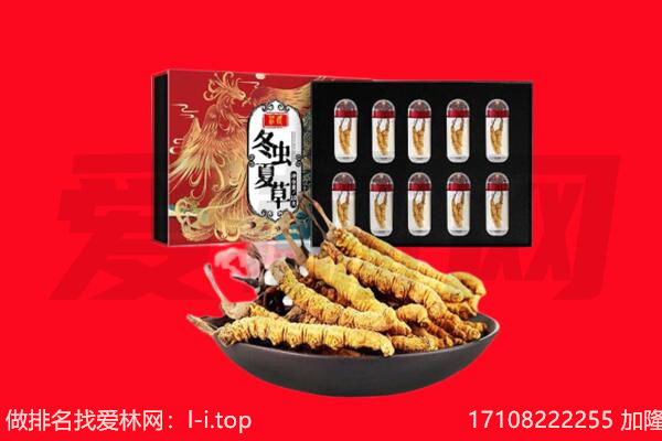石家庄市回收虫草.jpg